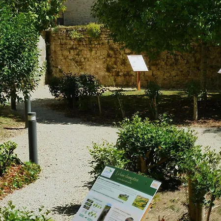 Adagio Access 3* Пуатье